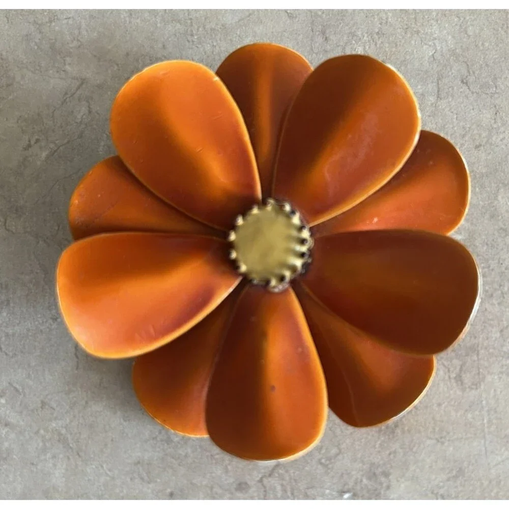 Daisy this shape